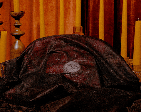 The Stevie - Red Rotary Phone Audio Guest Book