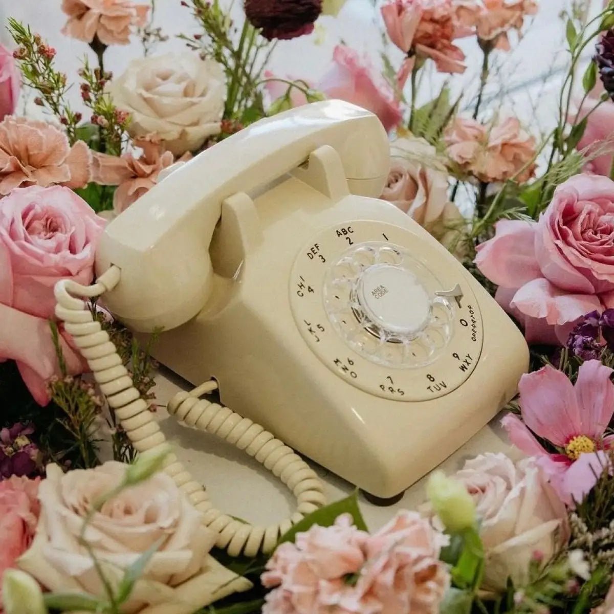 The Davis - Cream Rotary Phone Audio Guest Book - Meta To Beep